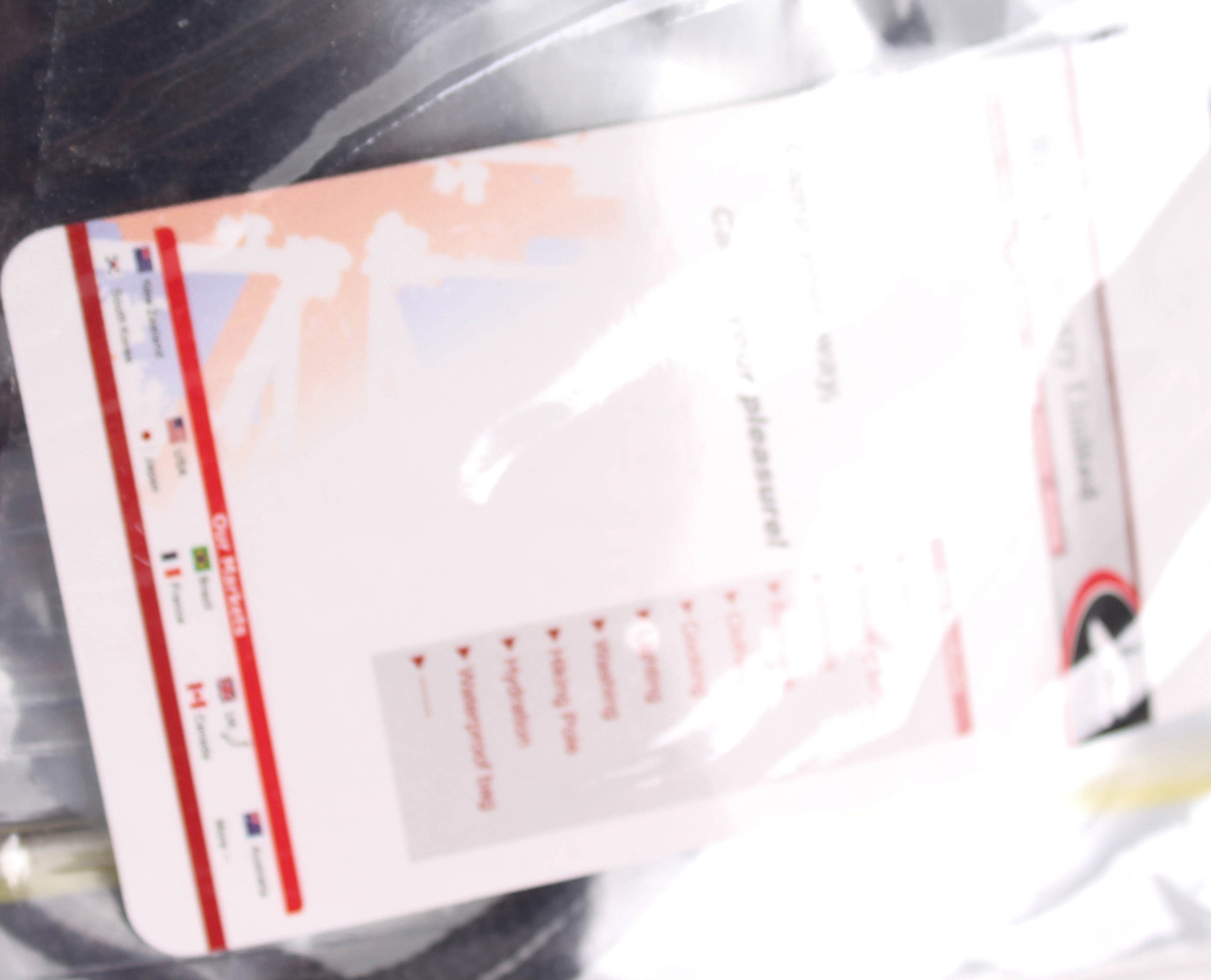 dreamtop PVC-Hülle Tasche für Karte transparent mit Halskordel :31,5x27,6cm